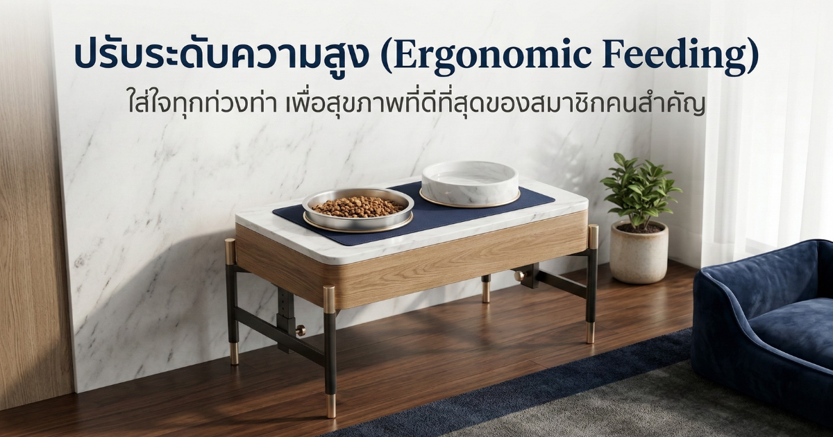 โรงแรมสัตว์เลี้ยงที่มีการจัดวางชามอาหารมาตรฐานสูง