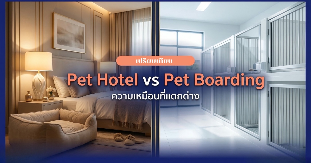 เปรียบเทียบ Pet Hotel และ Pet Boarding