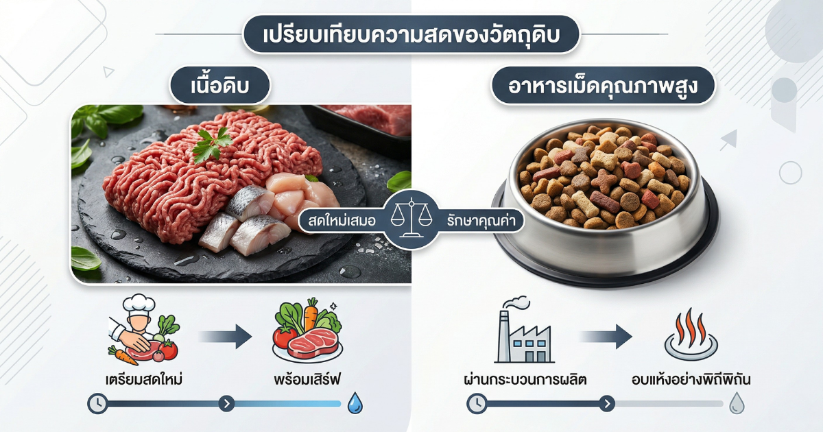 เปรียบเทียบอาหารแบบ RAW และอาหารสำเร็จรูปสำหรับสัตว์เลี้ยง