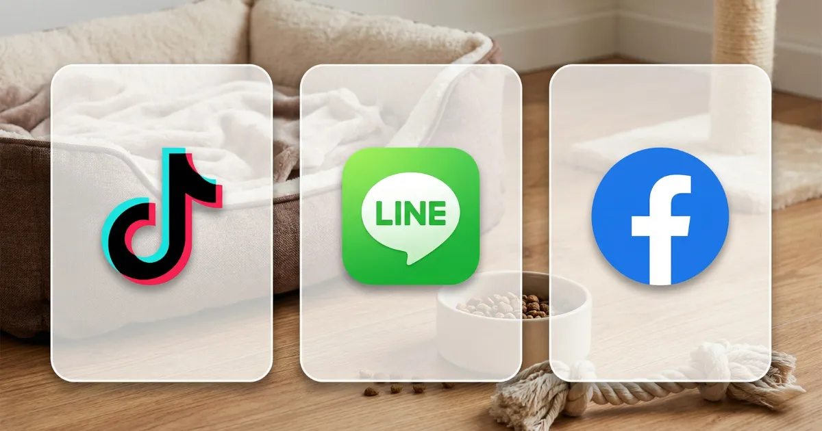 เปรียบเทียบแพลตฟอร์ม Social Media สำหรับธุรกิจสัตว์เลี้ยง