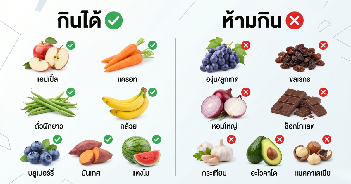 ตารางเปรียบเทียบอาหารที่ปลอดภัยและอันตรายสำหรับสัตว์เลี้ยง