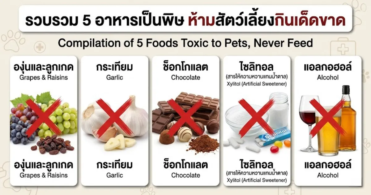 อาหารอันตรายสำหรับสัตว์เลี้ยง ห้ามกินเด็ดขาด