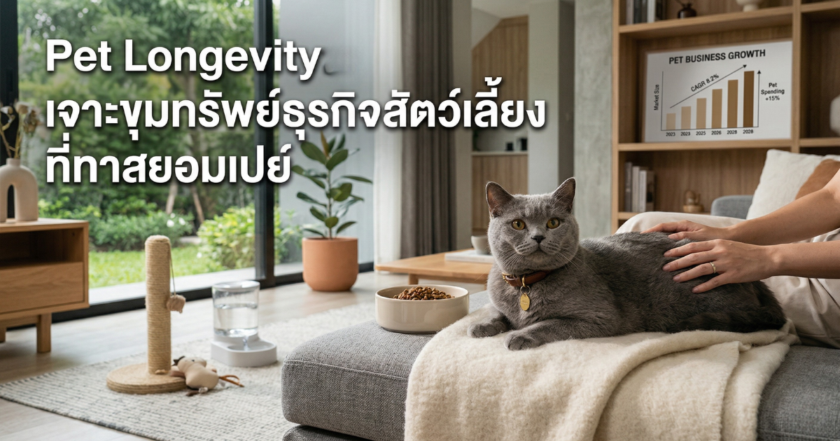 ชำแหละโมเดลธุรกิจ Pet Longevity ทำไมทาสแมวยอมเปย์หลักหมื่น?