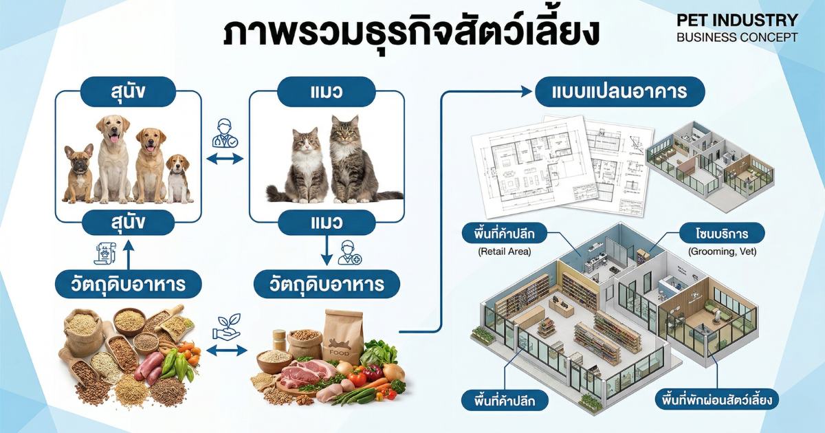 เริ่มต้นธุรกิจสัตว์เลี้ยงอย่างไร? คู่มือครบวงจรสำหรับมือใหม่