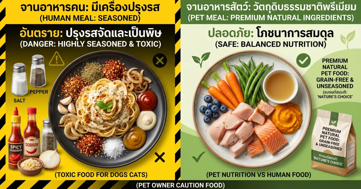 ทำไมอาหารคนถึงเปรียบเสมือน 'ยาพิษ' สำหรับสัตว์เลี้ยง?